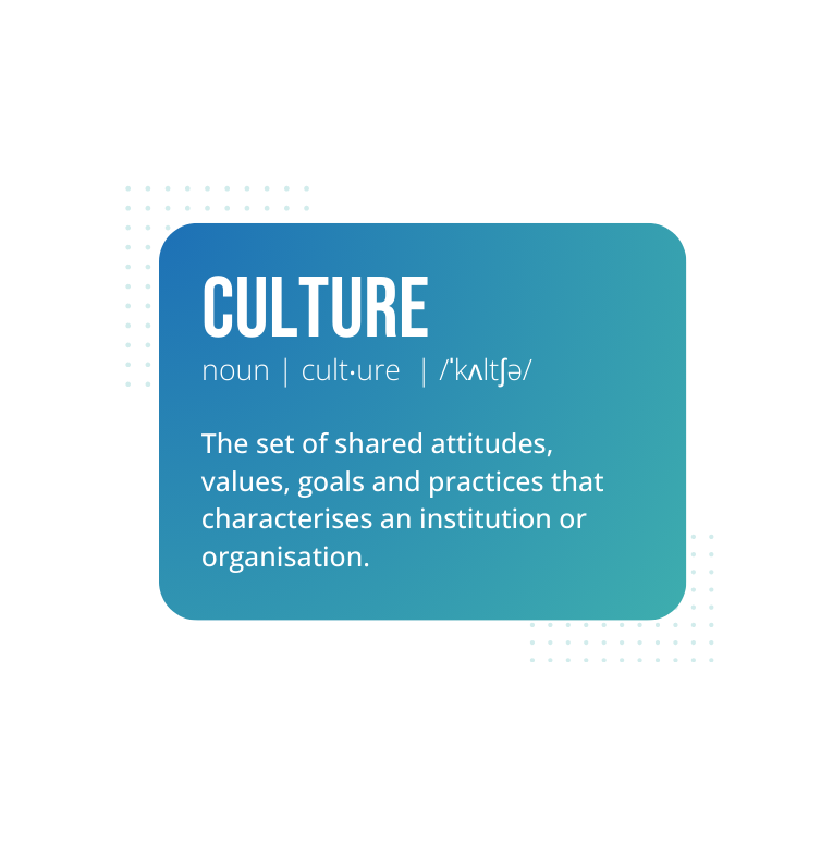 Culture  definition careers